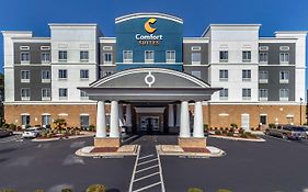 Comfort Suites Florence South Carolina